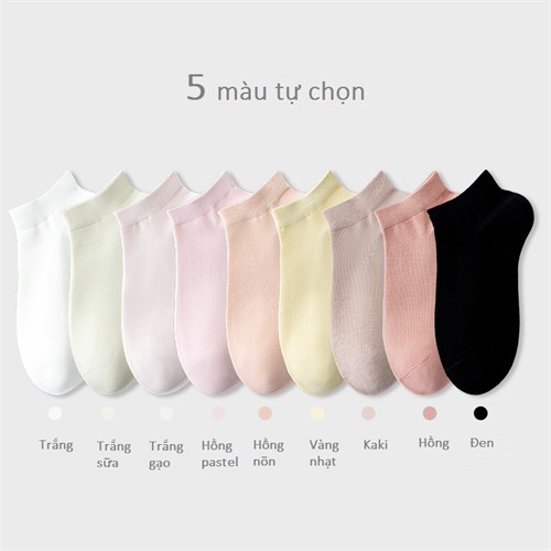 Set 5 tất nữ thoáng khí, chống xù TEMOOUES