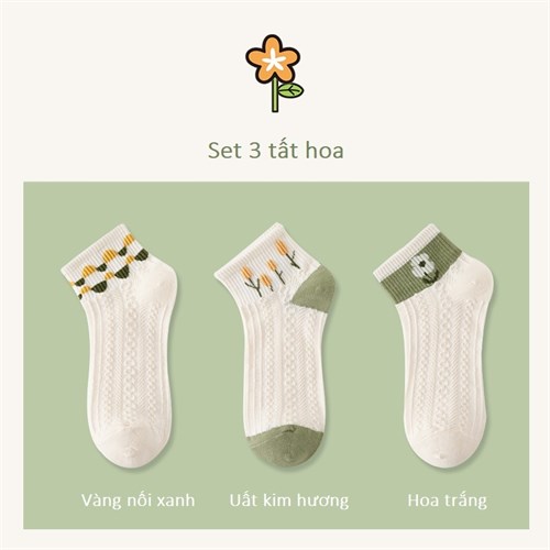 Set 3 tất nữ cổ hoa mềm mịn, thoáng mát TOE (Set C)