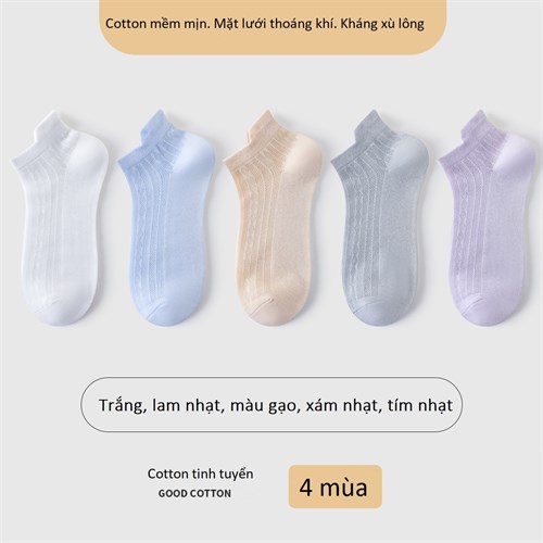 Set 5 tất nữ mặt lưới thoáng khí mùa hè TOE (Set D)