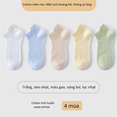 Set 5 tất nữ mặt lưới thoáng khí mùa hè TOE (Set C)