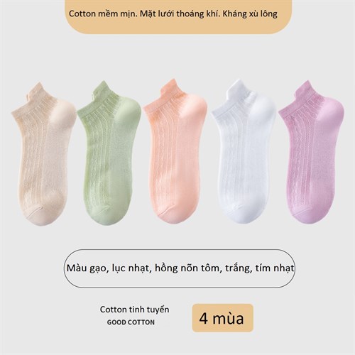 Set 5 tất nữ mặt lưới thoáng khí mùa hè TOE (Set B)