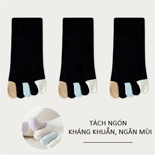 Set 3 tất nữ tách ngón khác màu thoáng khí Mutesse (Set H)