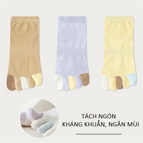 Set 3 tất nữ tách ngón khác màu thoáng khí Mutesse (Set G)