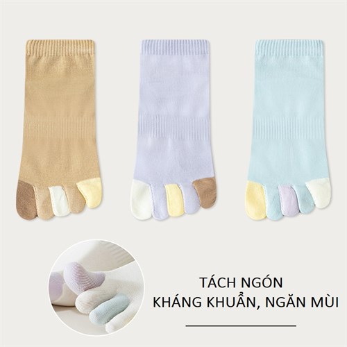 Set 3 tất nữ tách ngón khác màu thoáng khí Mutesse (Set F)