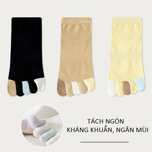 Set 3 tất nữ tách ngón khác màu thoáng khí Mutesse (Set E)