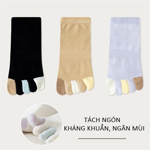 Set 3 tất nữ tách ngón khác màu thoáng khí Mutesse (Set B)