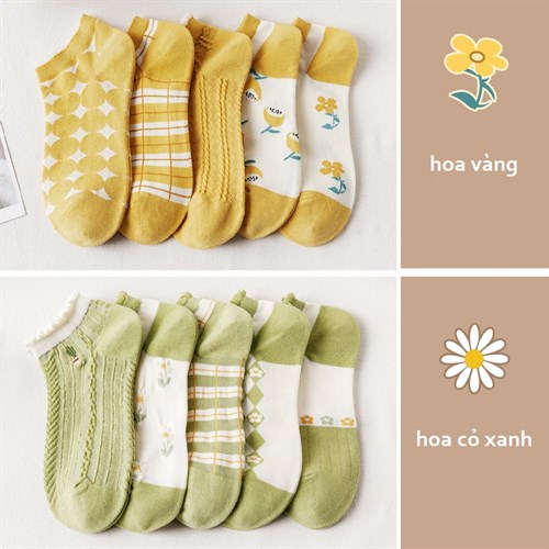 Set 10 tất nữ cổ ren cotton thoáng mát Bejirog (Set D)