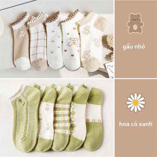 Set 10 tất nữ cổ ren cotton thoáng mát Bejirog (Set C)