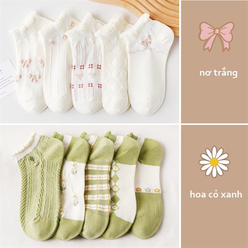 Set 10 tất nữ cổ ren cotton thoáng mát Bejirog (Set B)