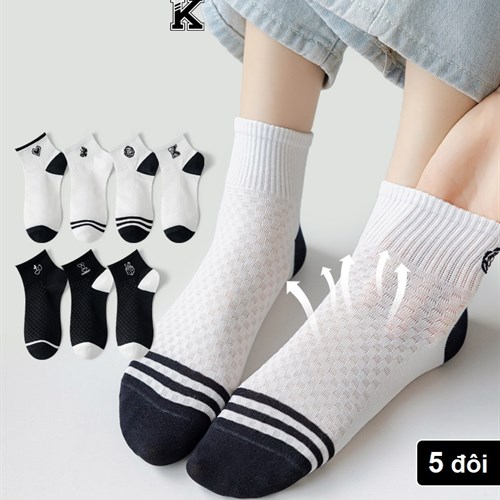 Set 5 tất nữ đen trắng mặt lưới thoáng mát TOE